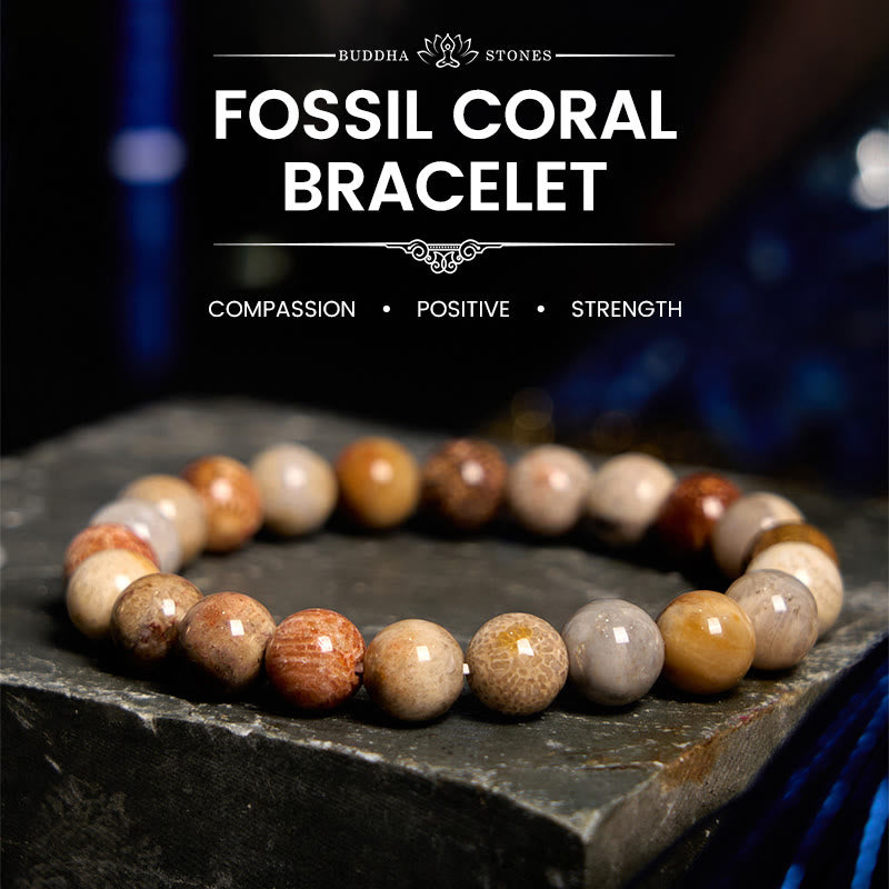 Buddha Stones Fossil Coral Compassion Bracelet - Fossil Coral(Wrist Circumference: 14-16cm) - 9-10mm - image 0
