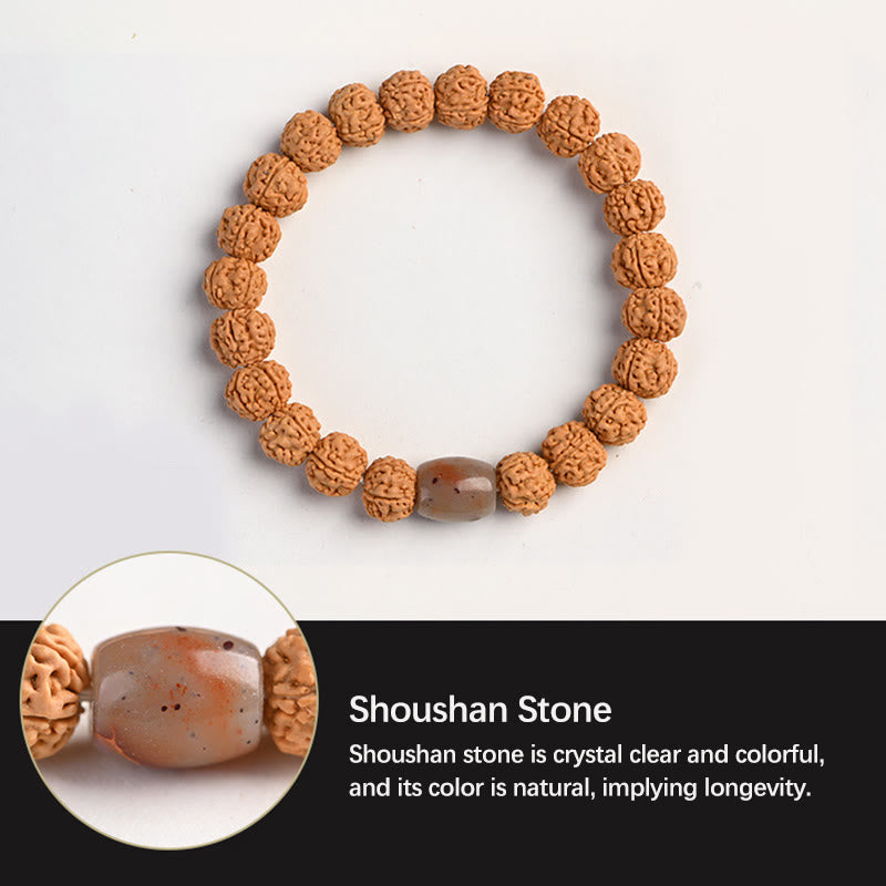Buddha Stones Tibet Rudraksha Bodhi Seed Wealth Auspiciousness Bracelet - image 18