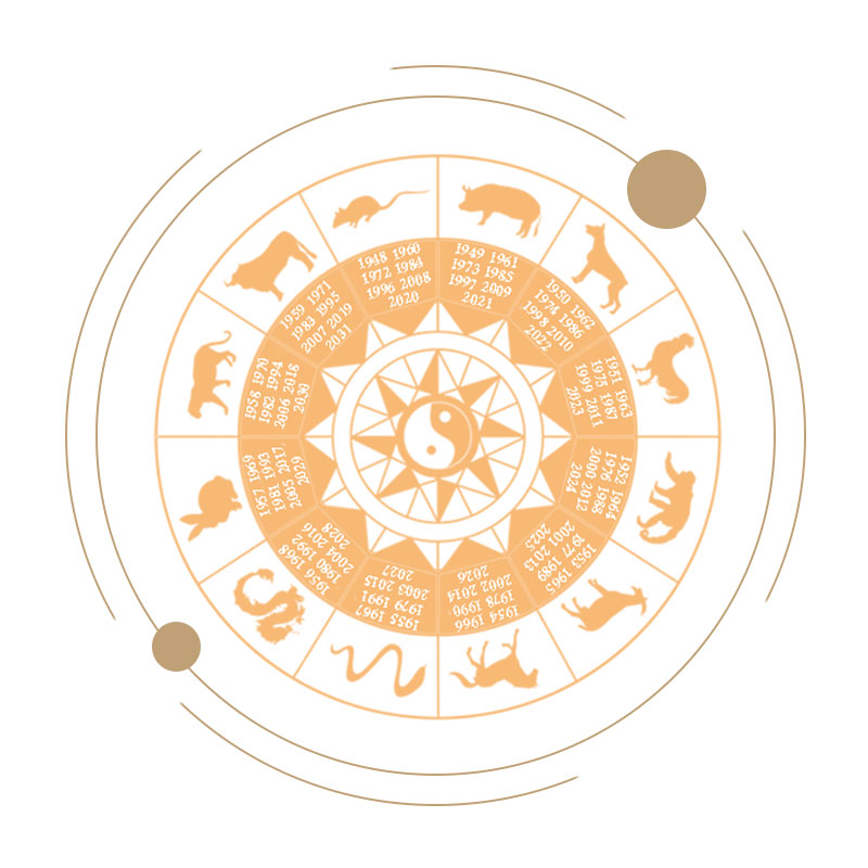 Snake & Chinese Zodiac-lzy