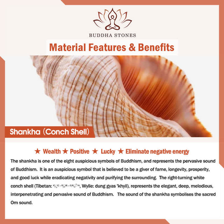 Tibetan Handmade Engraved Shankha Double Dorje Buddha Conch Shell Wealth Positive Decoration - image 16