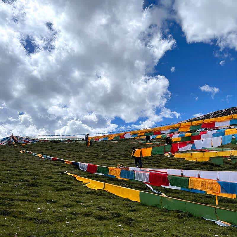 Buddha Stones Tibetan 5 Colors Windhorse Auspicious Outdoor 25 Pcs Prayer Flag - image 3