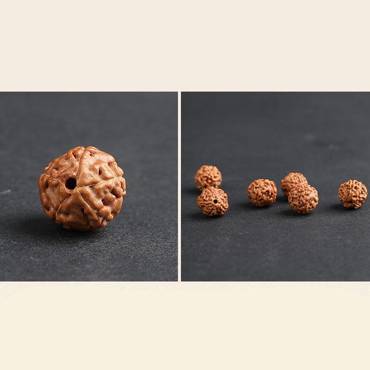 Buddha Stones Tibet Rudraksha Bodhi Seed PiXiu Copper Coin Wealth Luck Bracelet - image 12