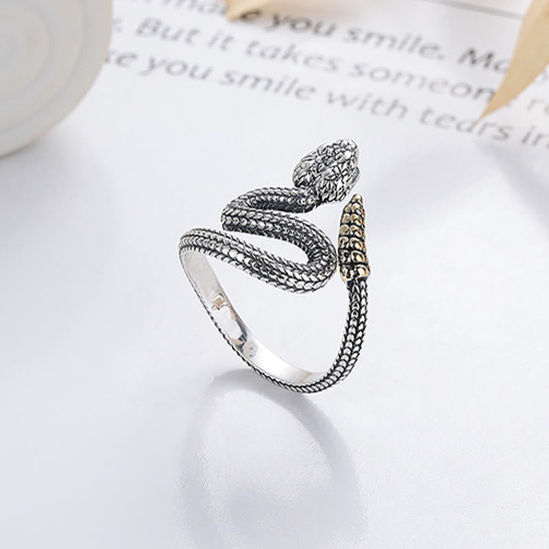 Buddha Stones 925 Sterling Silver Year Of The Snake Calm Balance Adjustable Ring - Adjustable(Inner Diameter 15mm-19mm) - image 0
