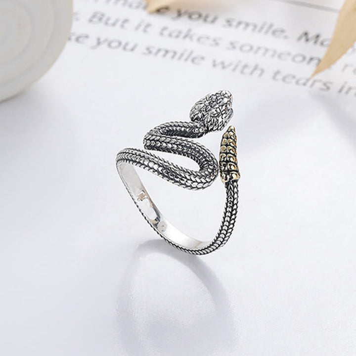 Buddha Stones 925 Sterling Silver Year Of The Snake Calm Balance Adjustable Ring - Adjustable(Inner Diameter 15mm-19mm) - image 0