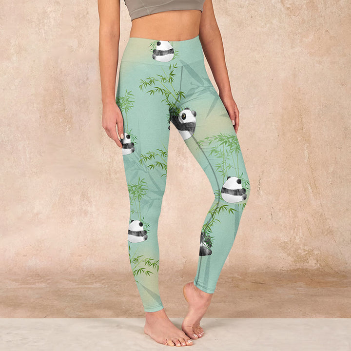 Buddha Stones Bamboo Panda Print Gym Leggings Women's Yoga Pants - Aquamarine - US18，UK/AU22，EU50 (4XL) - image 0