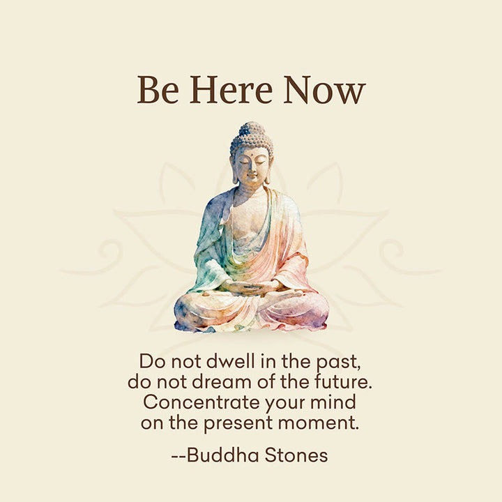 Buddha Stones "Be Here Now" Casual Buddha Lotus Dragonfly Women's Socks Includes Gift Message Card - image 2