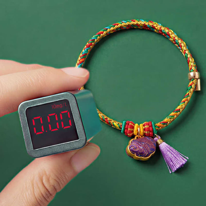 Buddha Stones Handwoven Five Color Cord Luck Purple Song Brocade Chinese Lock Charm Apple Money Bag Gourd Zongzi Adjustable Bracelet - image 13