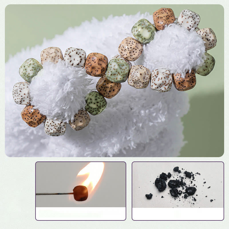 Buddha Stones Natural Colorful Bodhi Seed Auspiciousness Wealth Bracelet - image 8