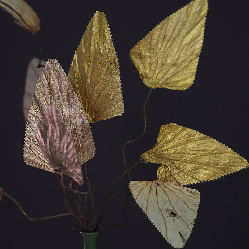 Natural Dried Triangle Lotus Leaf Stemmed Plant Bouquet Home Decoration Ornaments - image 1