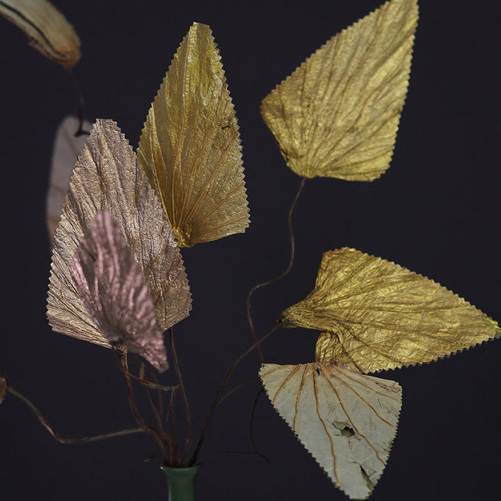 Natural Dried Triangle Lotus Leaf Stemmed Plant Bouquet Home Decoration Ornaments - image 1