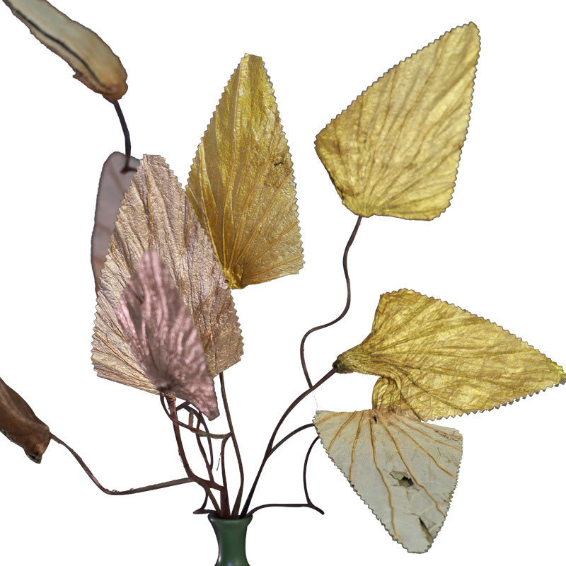 Natural Dried Triangle Lotus Leaf Stemmed Plant Bouquet Home Decoration Ornaments - image 8