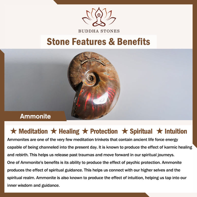 Buddha Stones Natural Ammonite Fossil Snail Pattern Meditation Healing Necklace Pendant - image 8