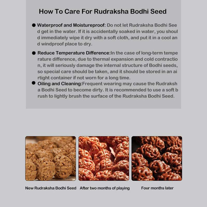 Buddha Stones Tibet Rudraksha Bodhi Seed Dzi Bead Amber Turquoise Wealth Bracelet - image 22