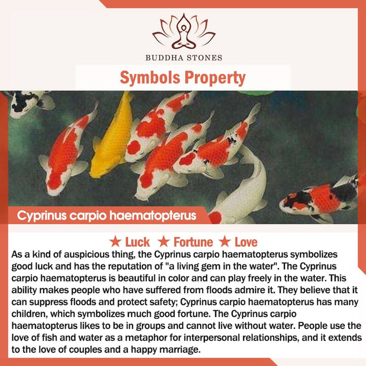Buddha Stones Koi Fish Lucky Incense Burner Decoration - image 10