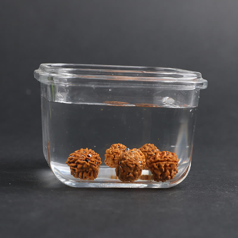 Buddha Stones Tibet Rudraksha Bodhi Seed PiXiu Copper Coin Wealth Luck Bracelet - image 11