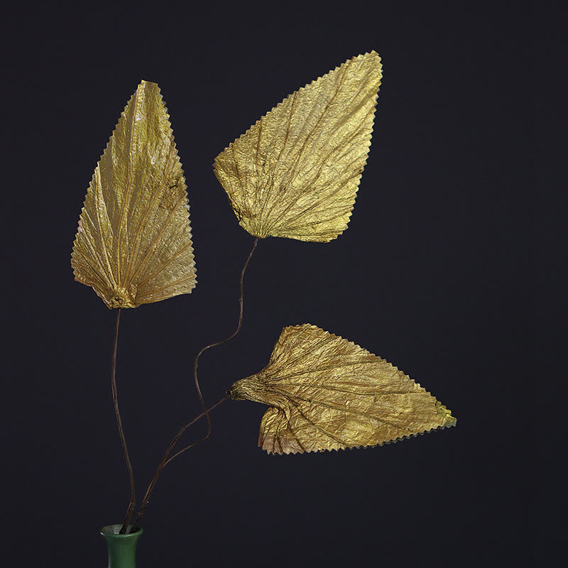 Natural Dried Triangle Lotus Leaf Stemmed Plant Bouquet Home Decoration Ornaments - image 6