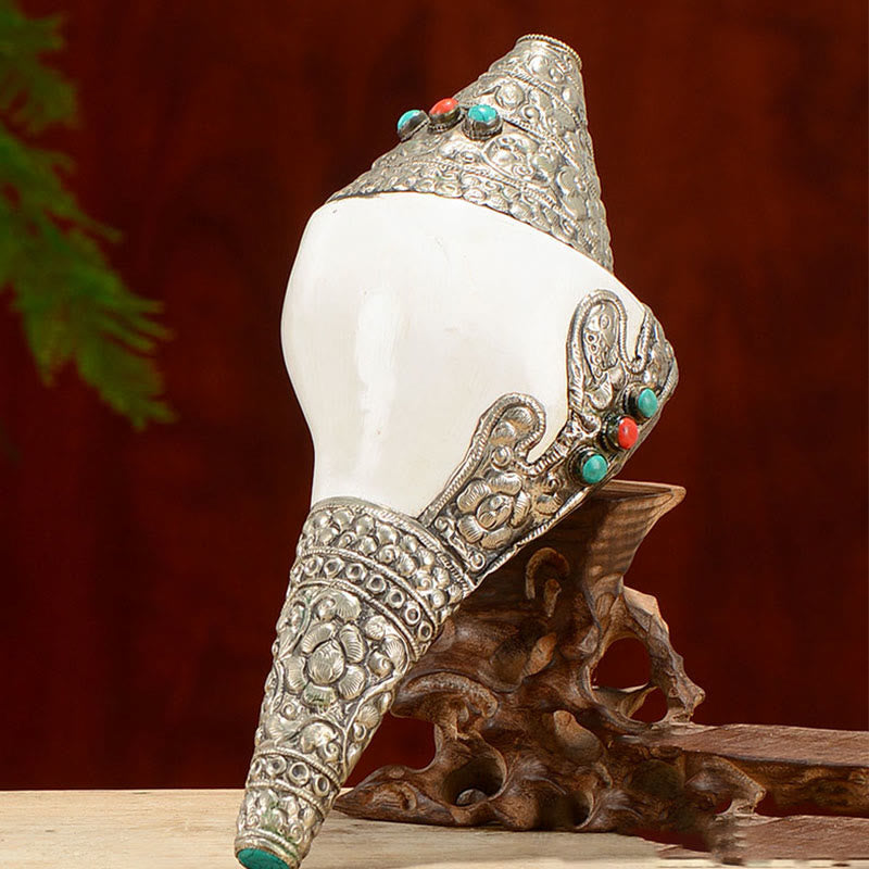 Tibetan Natural Shankha Conch Shell Seashell Wealth Lucky Home Decoration - image 14